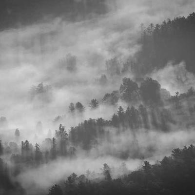 함평군골프클럽 직영점