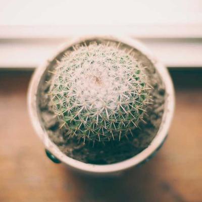 사하구GS골프
