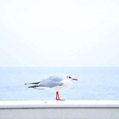 프로필